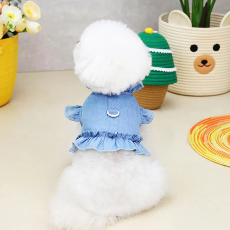 Blue denim dog dress with ruffles and built-in chest and back leash hooks on a small dog.