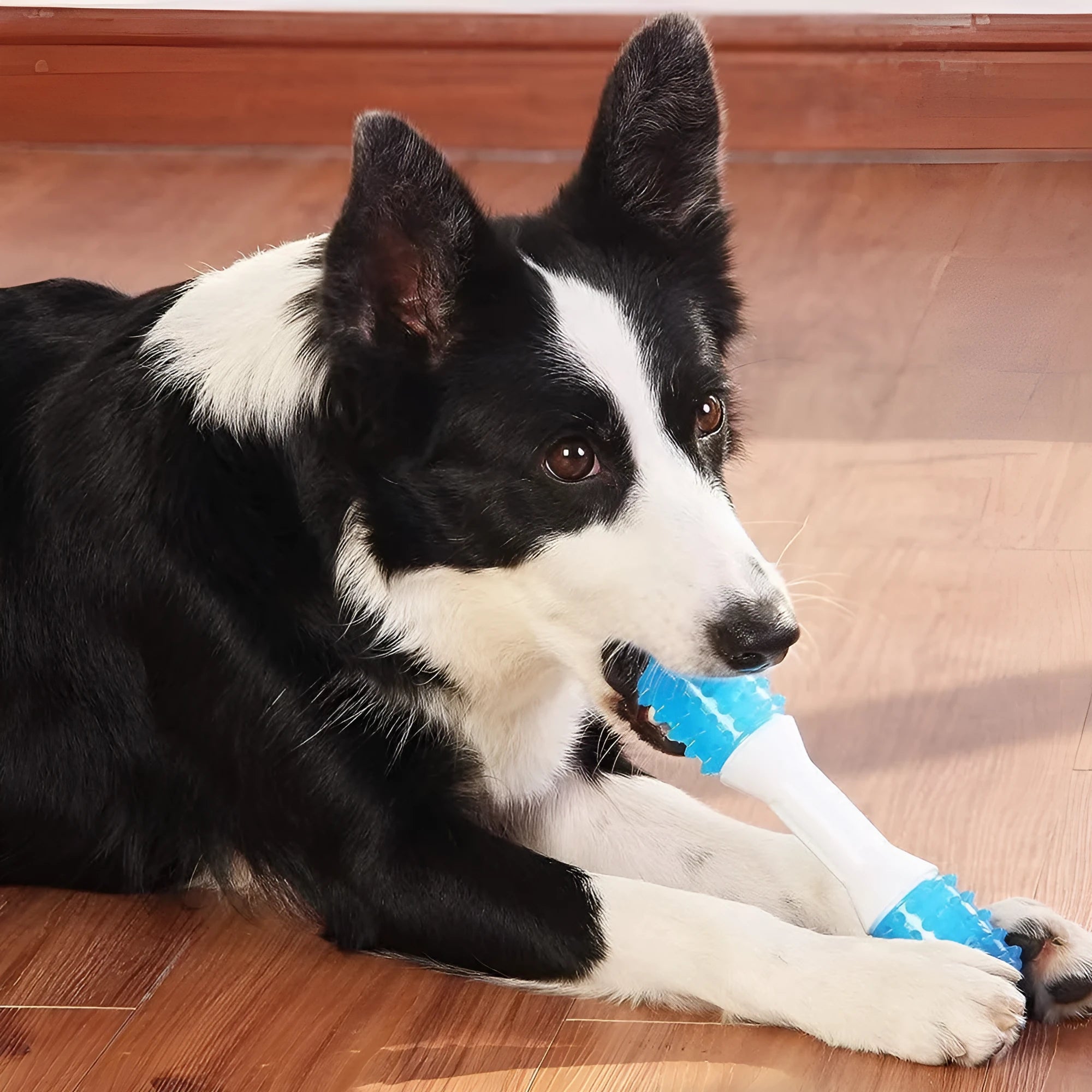 TPR rubber dog teething chew toy with dual hardness textures for puppies aged 2-8 months