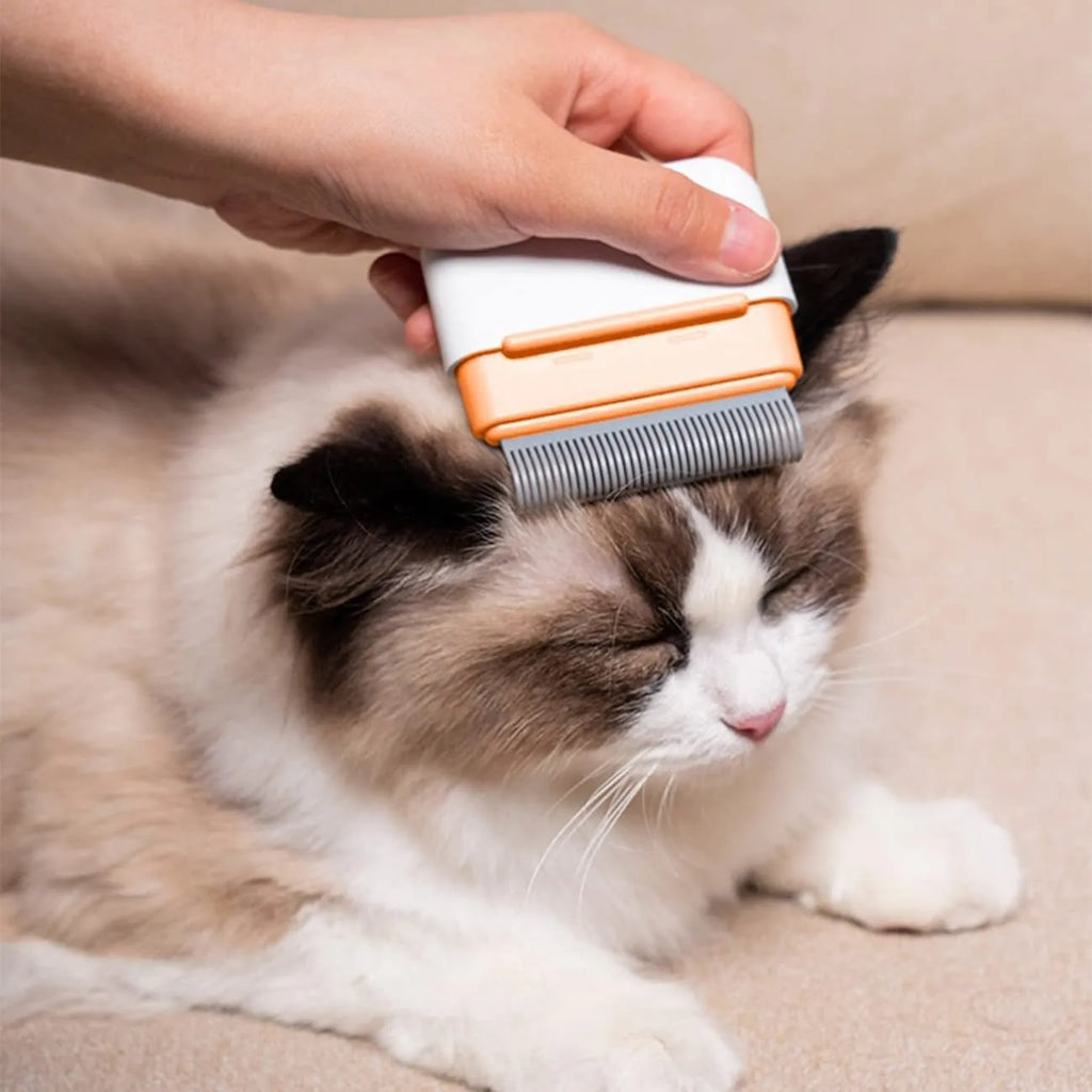 Blue double-sided pet deshedding brush with stainless steel teeth on a wooden table.