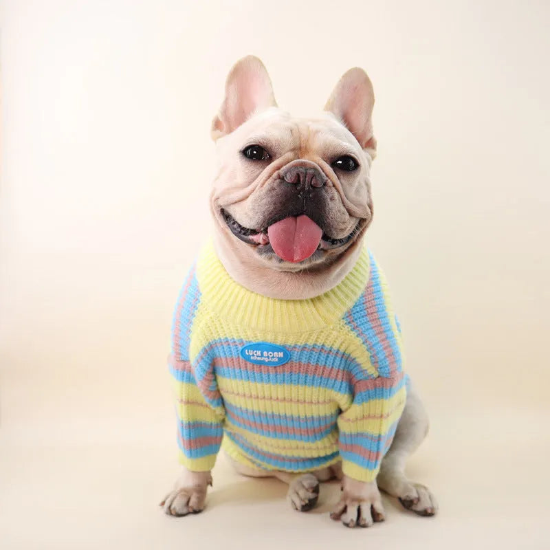 Blue and yellow striped wool dog sweater for small breeds on size chart
