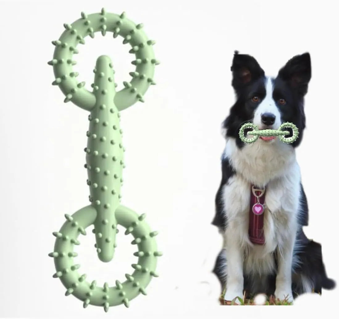 Blue TPR dog chew toy ring measuring 16cm for puppy teething and safe chewing
