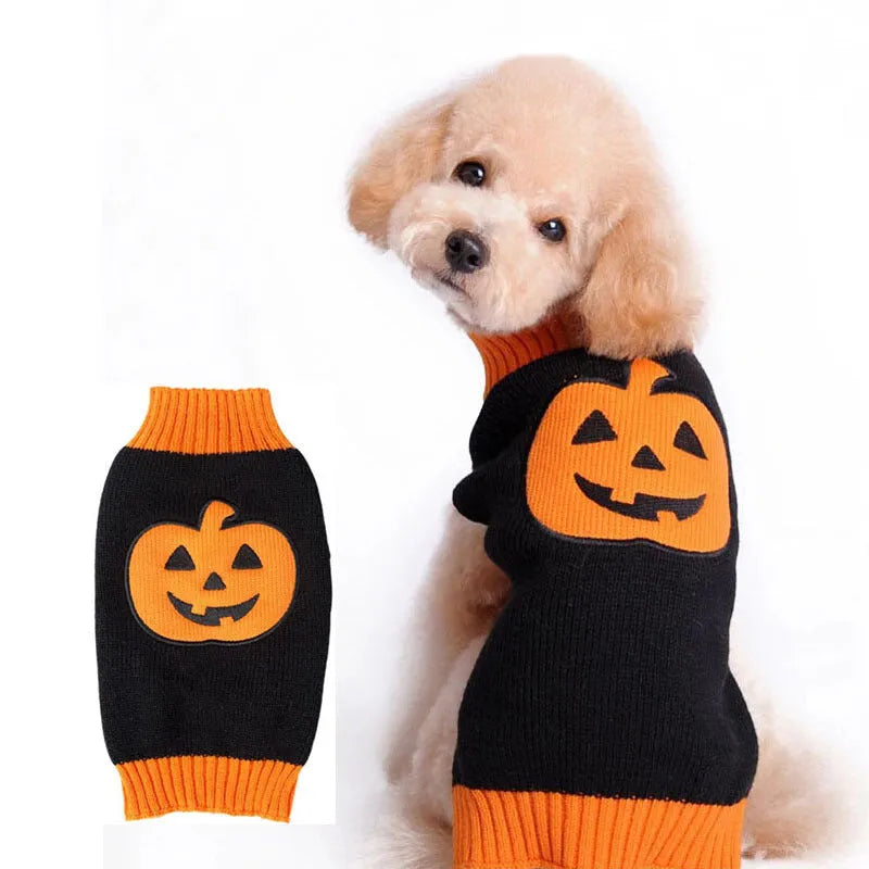 Pet Halloween dog knitted pumpkin sweater in orange with black pumpkin detail on a white background