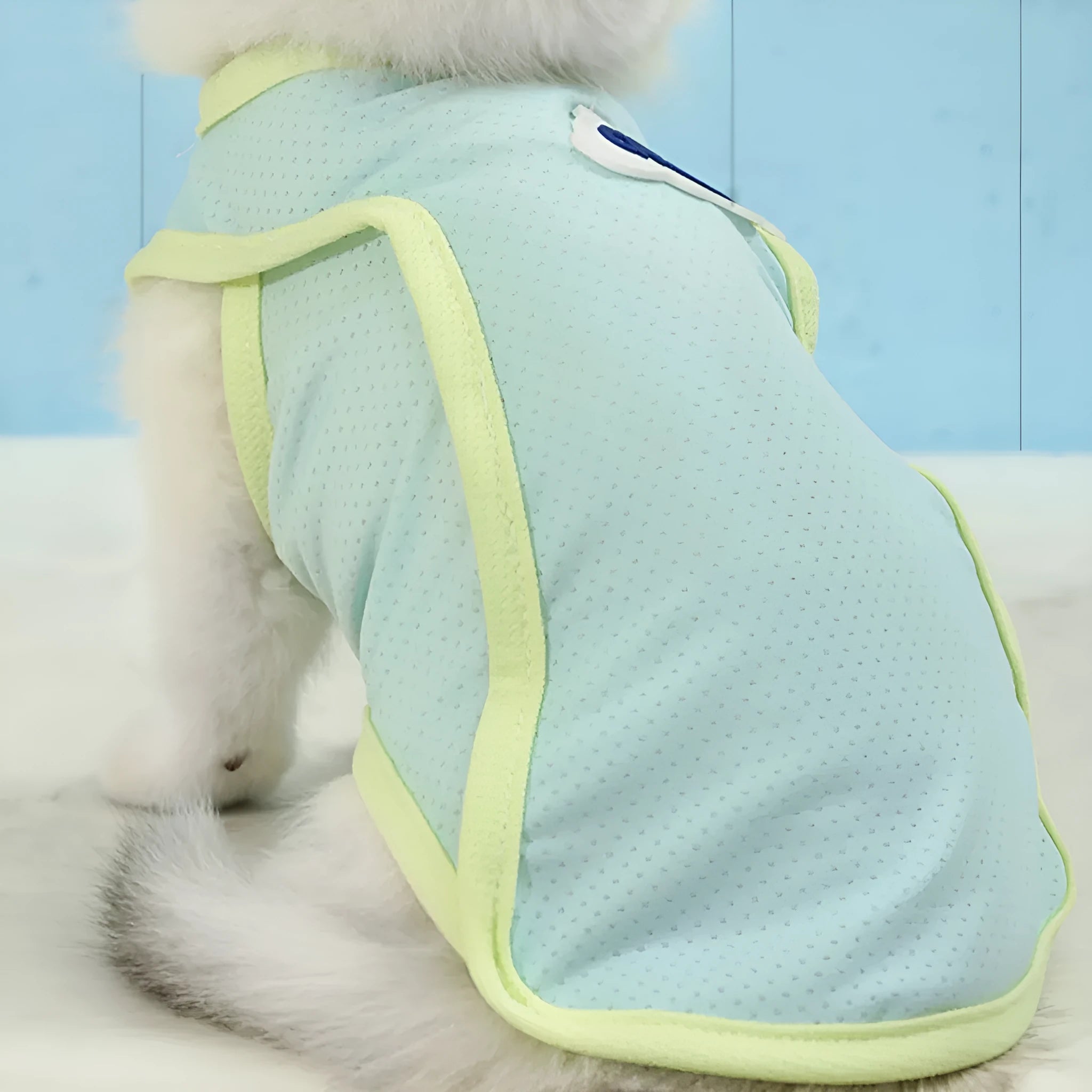 Polyester cat summer vest in grass green colour showing sports style design and lightweight construction
