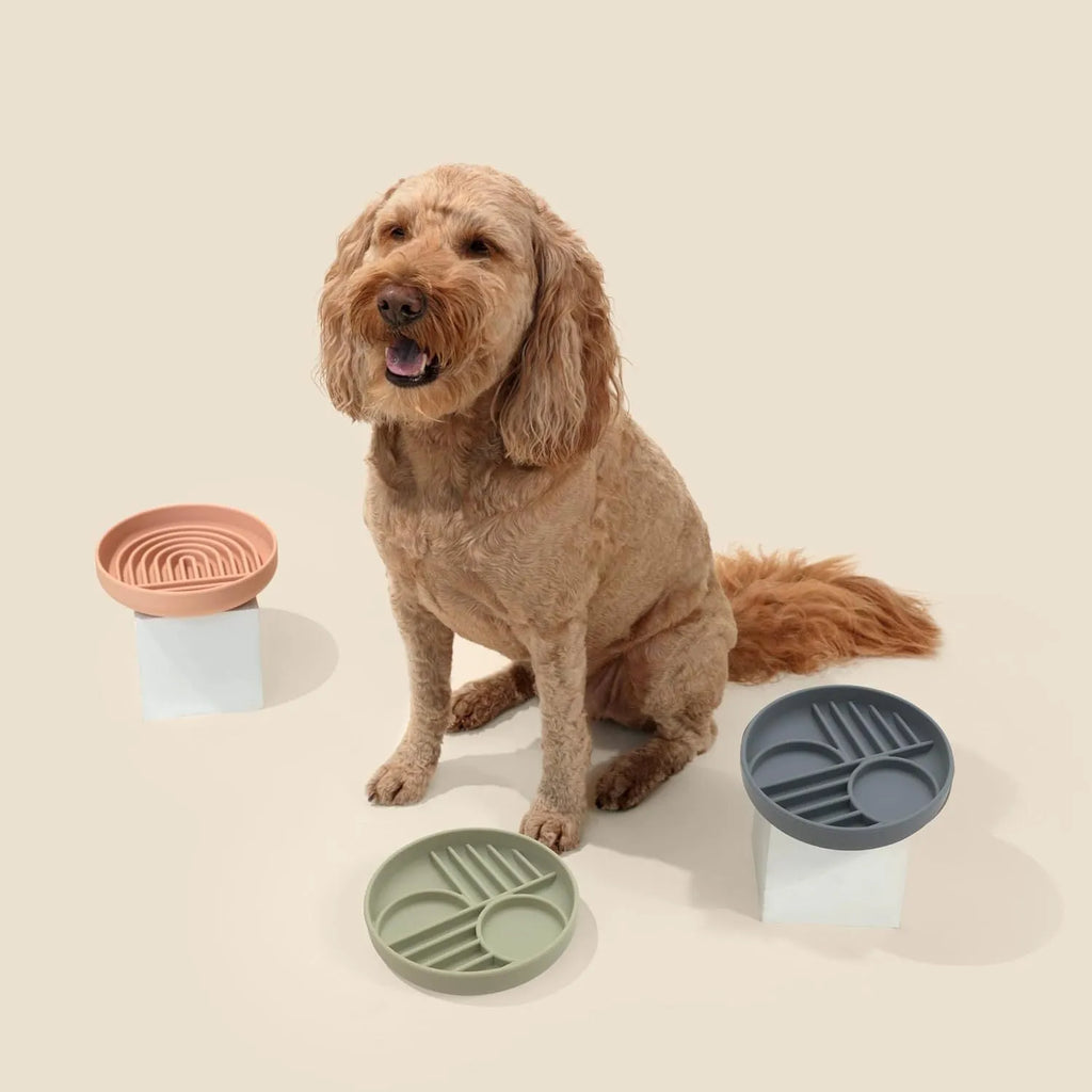 Silicone slow feeder bowl for dogs with ridge design in six colour options