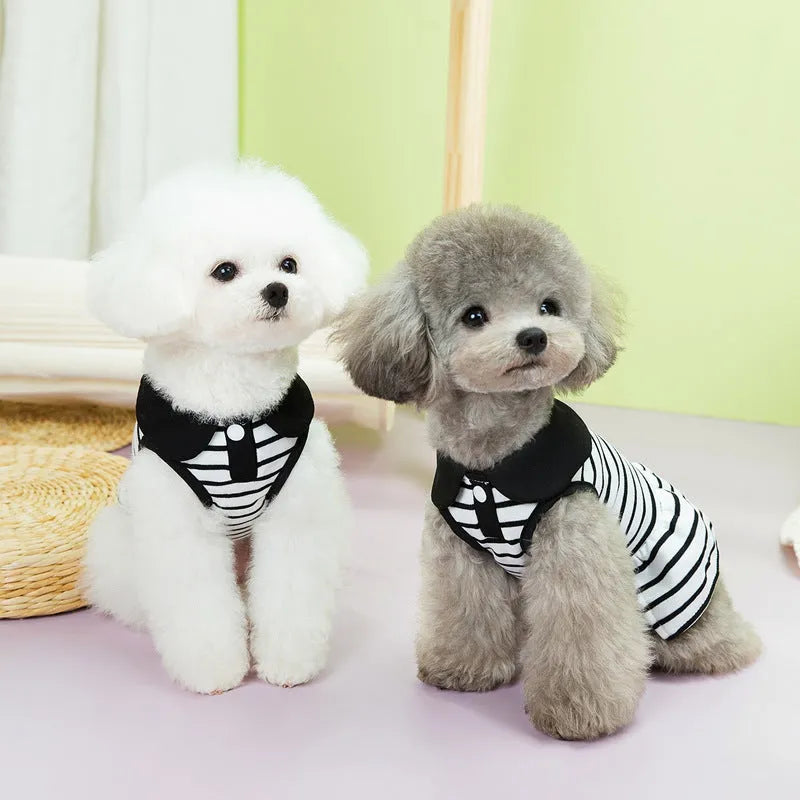 Cotton dog t-shirt and striped skirt summer outfit set in various sizes