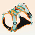 Orange reflective dog harness with double-ended lead for medium breed control during walks