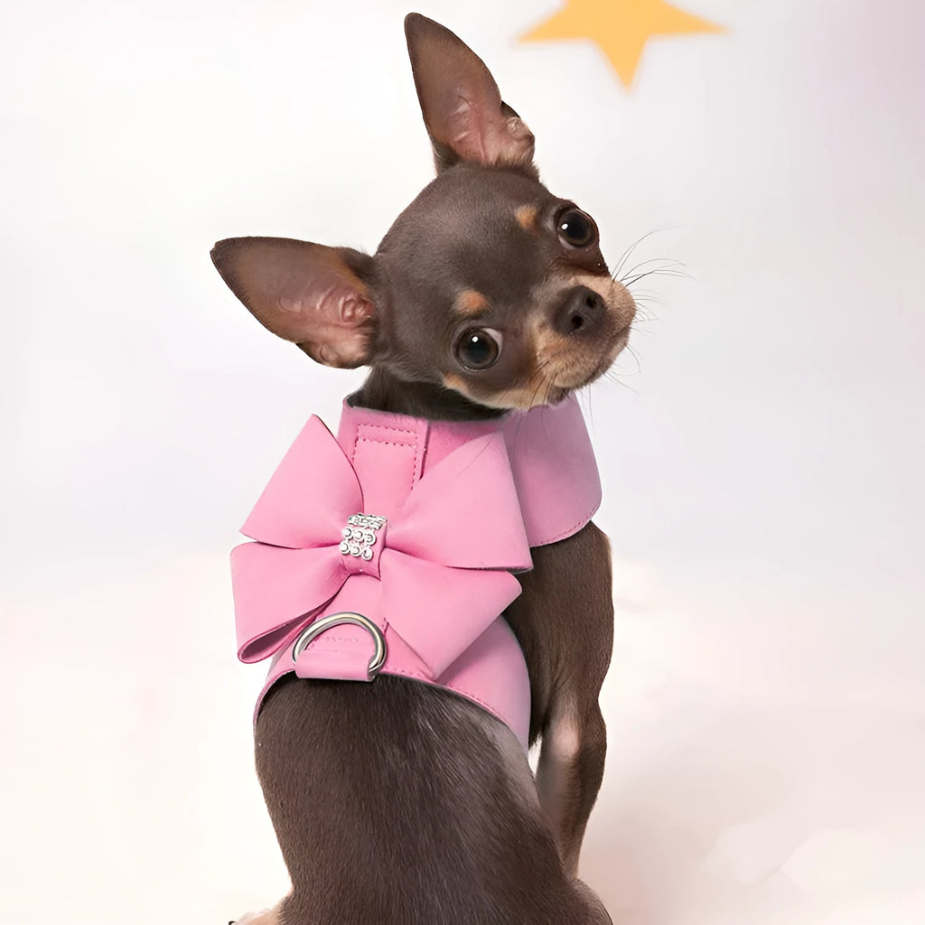 Dog wearing pink microfiber chest strap with decorative bowknot design