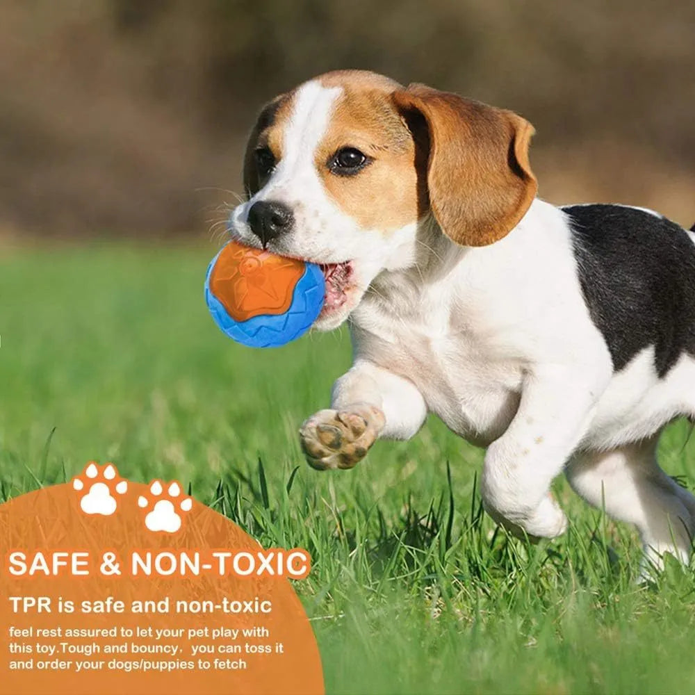 Three floating dog toys: a blue squeaky ball, a red barbell, and an orange tyre on a blue background.