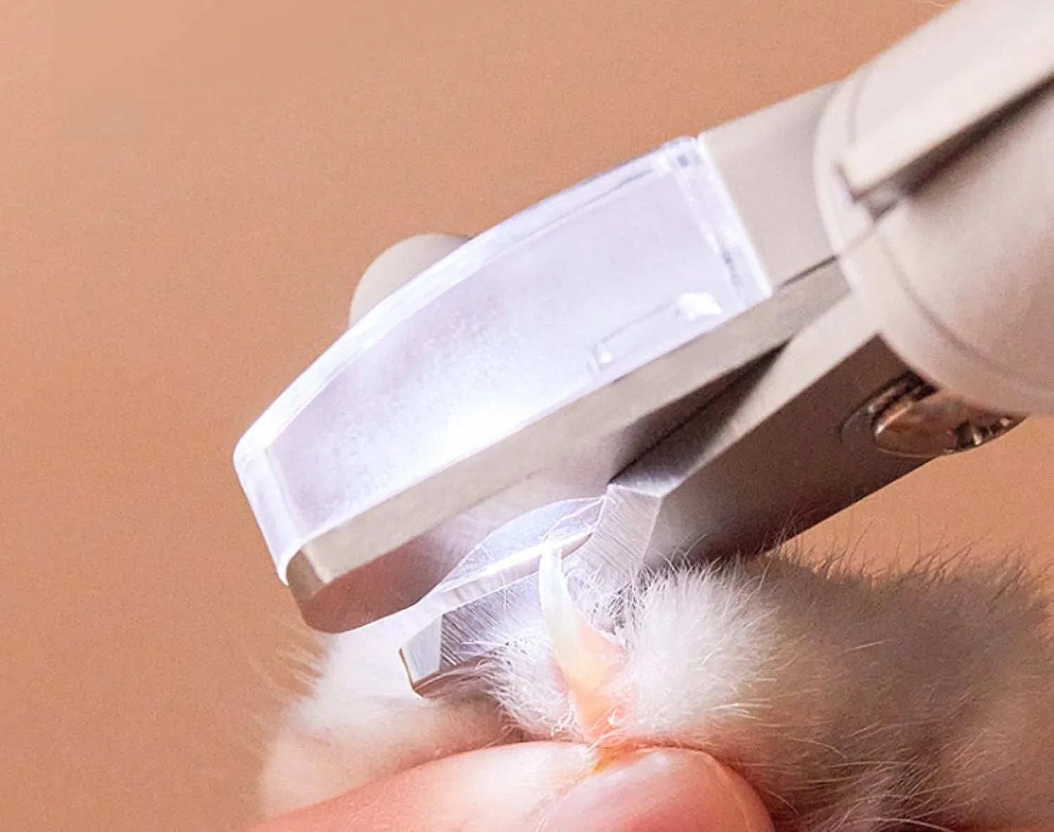 White pet nail clippers with built-in LED light and transparent anti-splash guard.