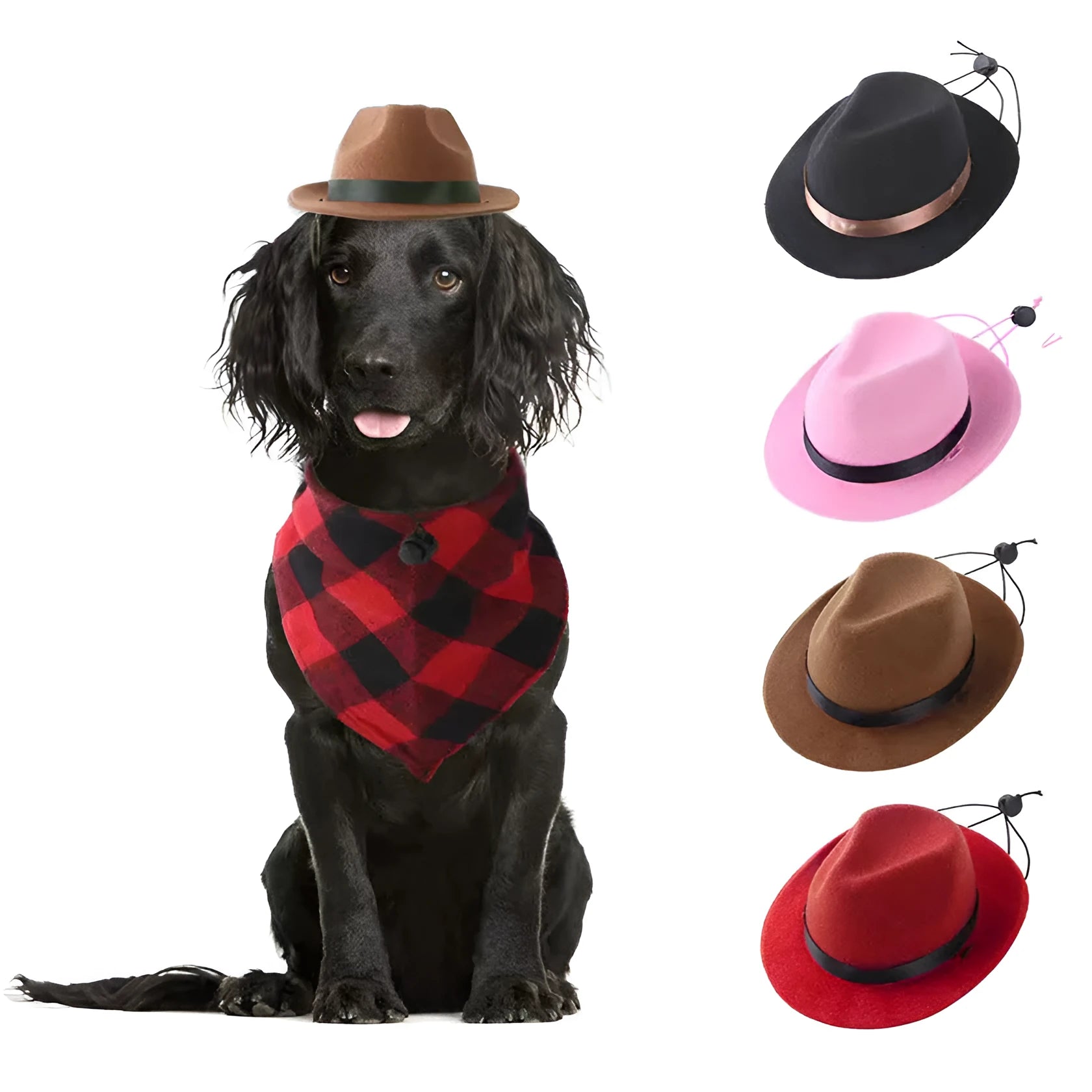 Wool felt mini pet sun hat in black, brown, pink, or red with 155cm diameter
