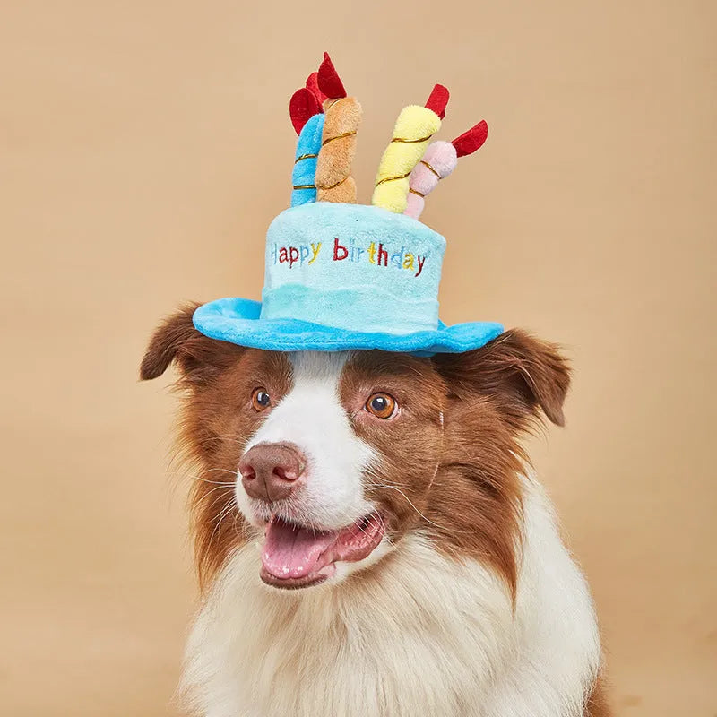 Blue or pink dog birthday hat toy for small to medium dogs on a white background.