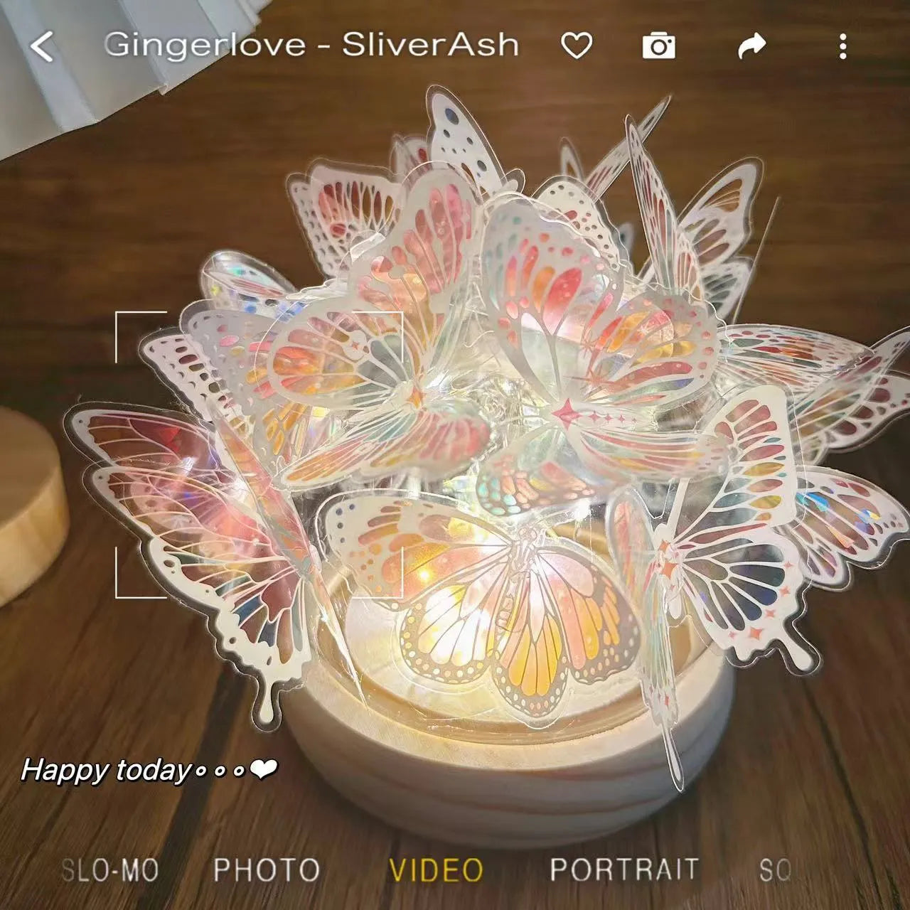 Butterfly night lamp with glass shade on raw wood base for bedside bedroom lighting