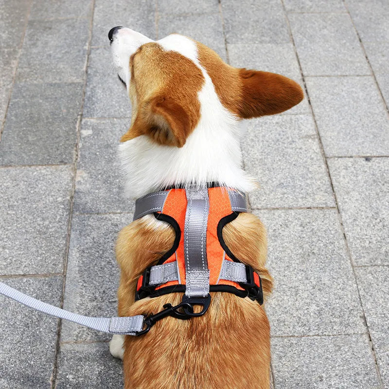 Orange adjustable dog chest strap vest harness with an integrated hand holding rope.