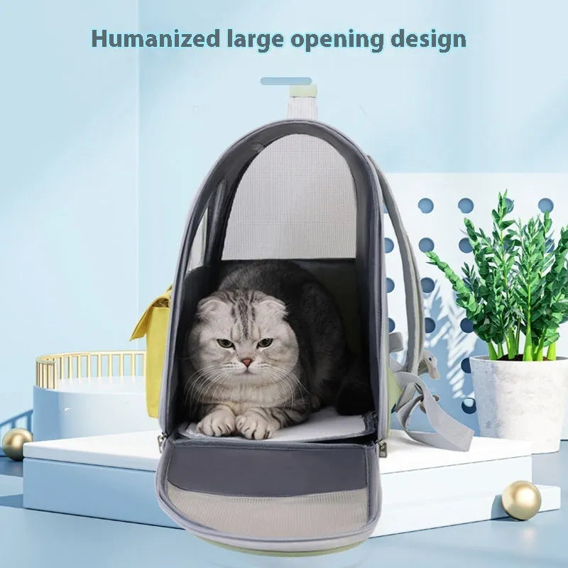 Cat backpack with transparent acrylic front and Oxford cloth body in white and yellow colour scheme
