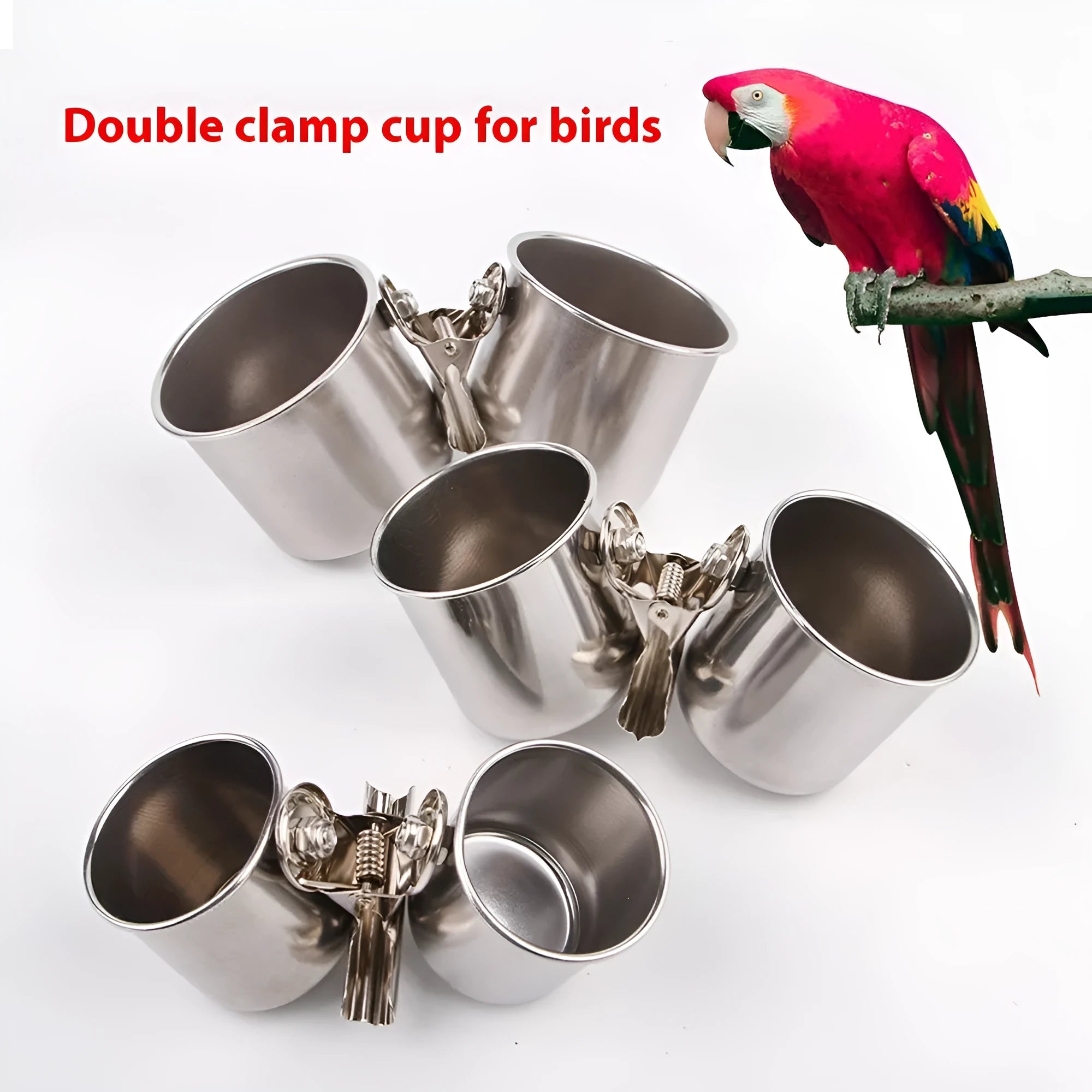 Stainless steel birdcage outdoor feeder in natural metal colour on a green background