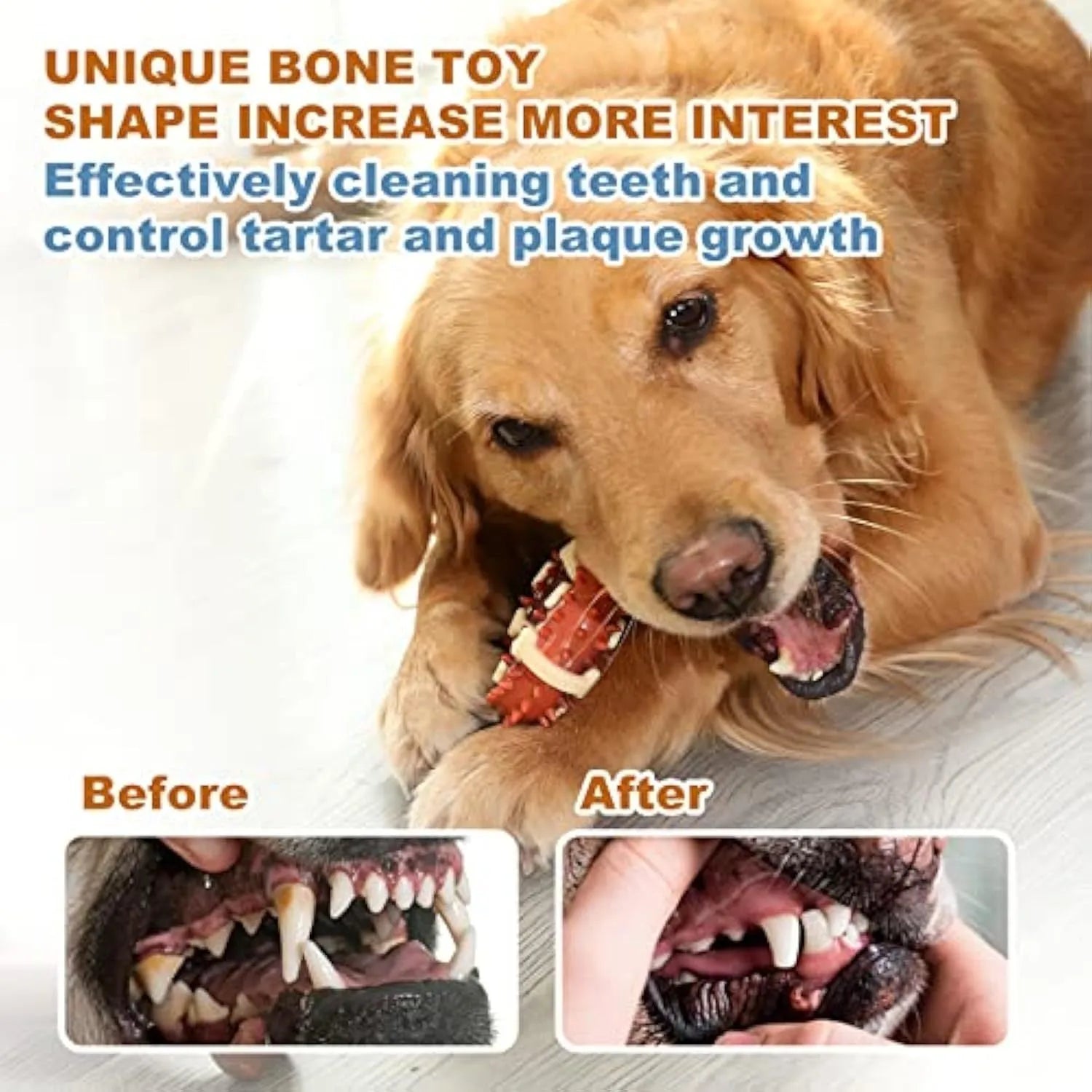 Bone-shaped natural rubber dog molar chew toy in two sizes for teeth grinding.
