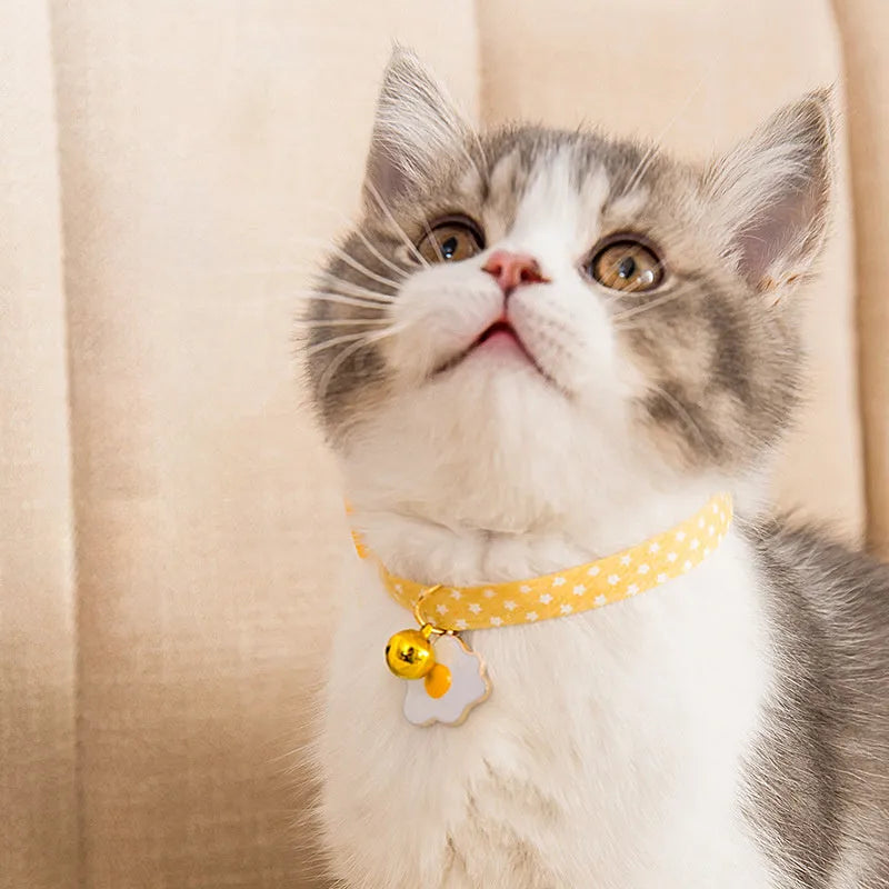 Adjustable green pet collar with a metal bell and pink bow tie on a small dog.