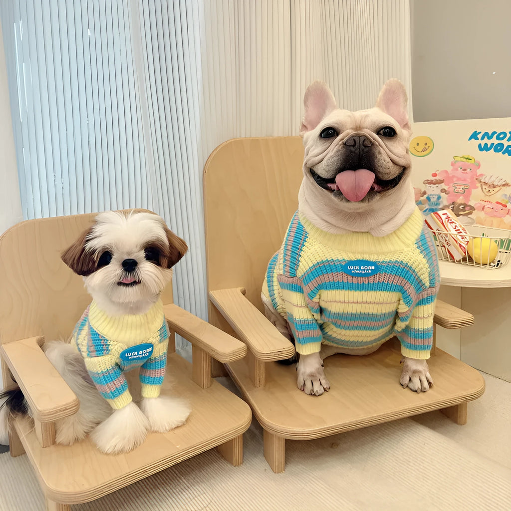 Blue and yellow striped wool dog sweater for small breeds on size chart