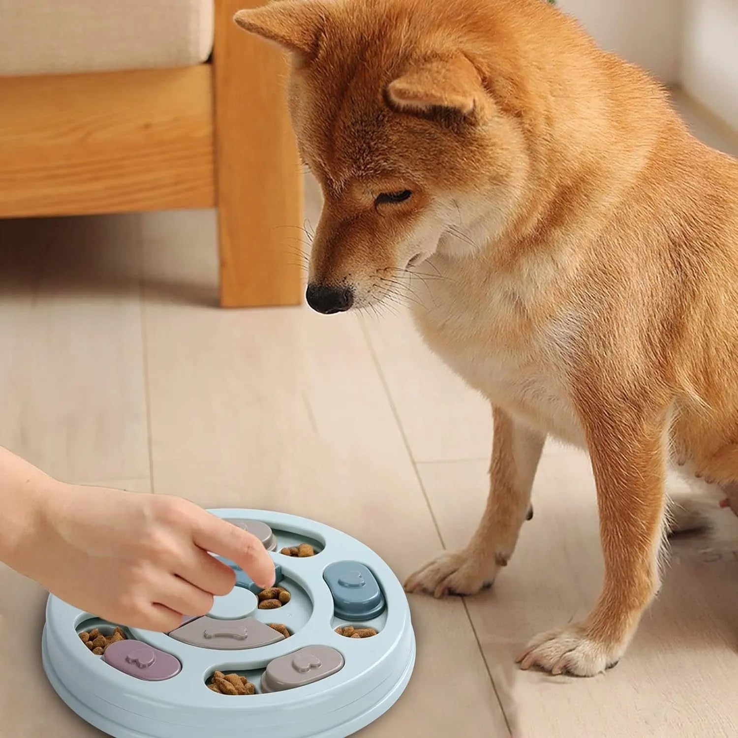 Blue dog puzzle toy with sliding parts on a wooden floor, suitable for small dogs and cats
