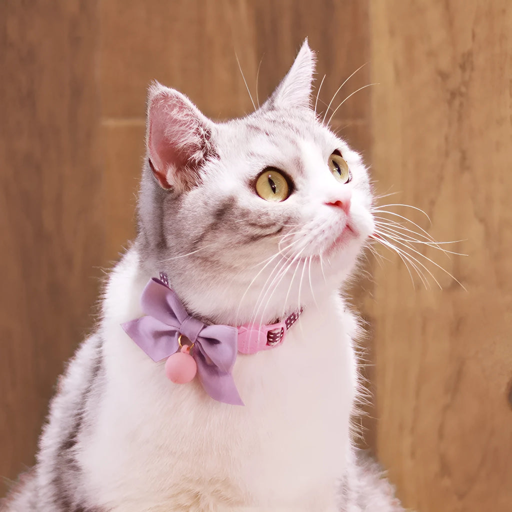 Cute cat bow tie collar with bell in eight colours – orange, pink, purple, navy blue, powder blue, yellow, green – adjustable size