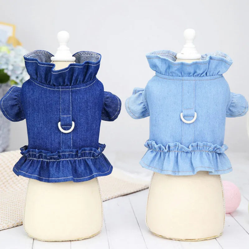 Blue denim dog dress with ruffles and built-in chest and back leash hooks on a small dog.