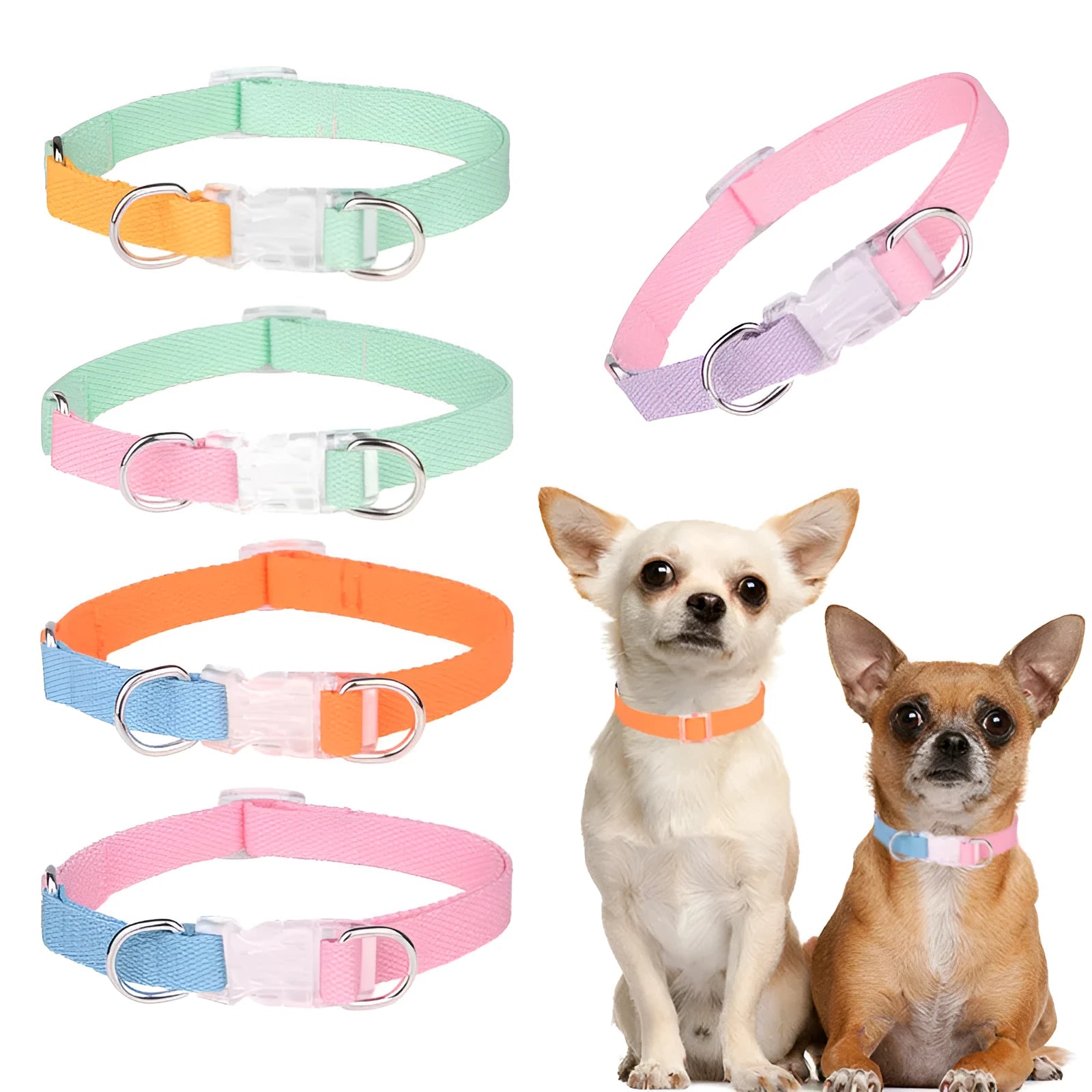 Polyester ribbon dog collar set with matching hand rope and chest strap in multicolour combinations