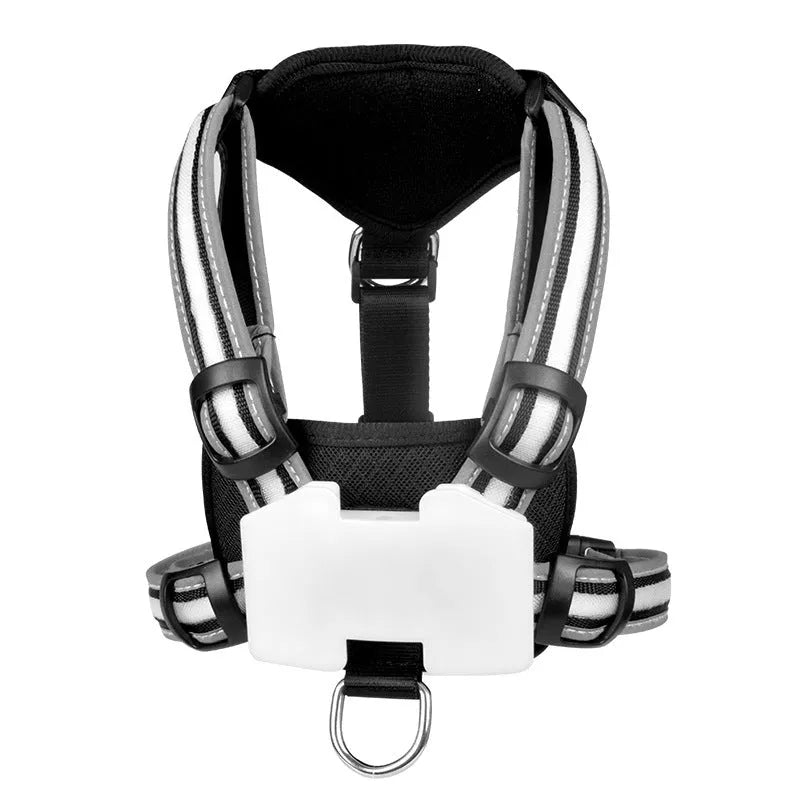 Nylon dog lead with illuminated colour-changing strap and USB charging cable