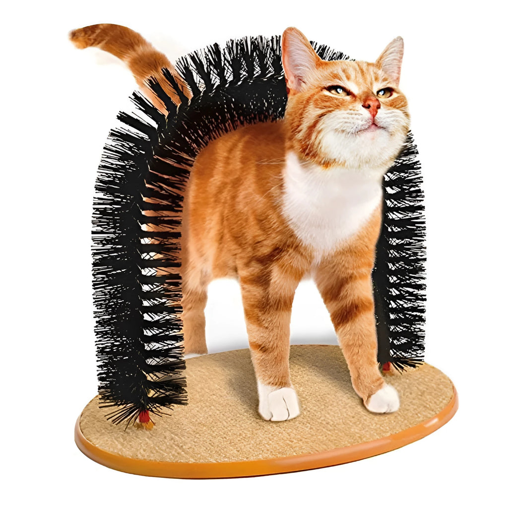 Arched cat grooming toy with built-in brush for scratching and self-grooming