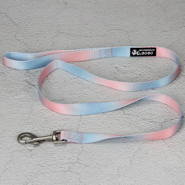 Gradient colour pet leash set showing nylon collar, chest strap and bracelet in pink and blue colour combination