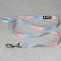 Gradient colour pet leash set showing nylon collar, chest strap and bracelet in pink and blue colour combination