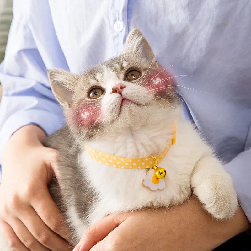 Adjustable green pet collar with a metal bell and pink bow tie on a small dog.