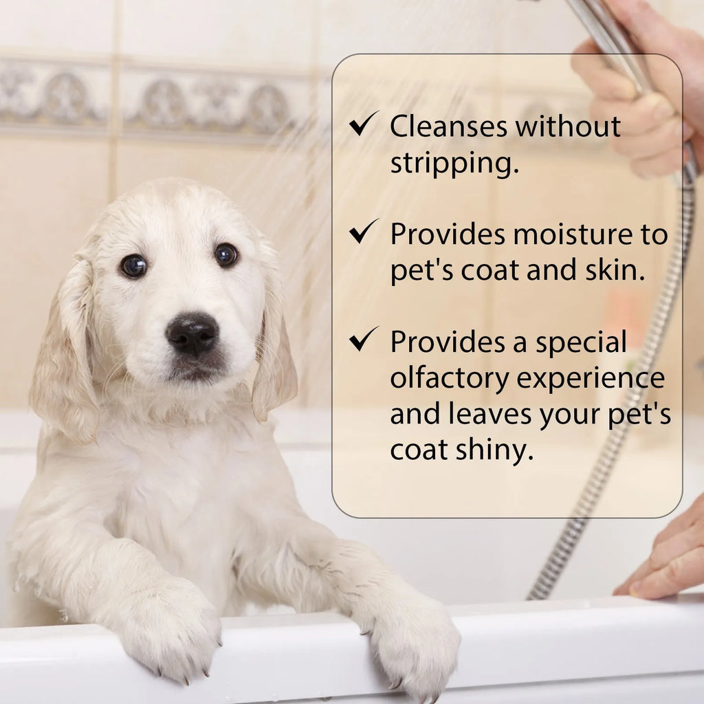 Bottle of mild pet shampoo for dogs to soften fur and reduce tangles