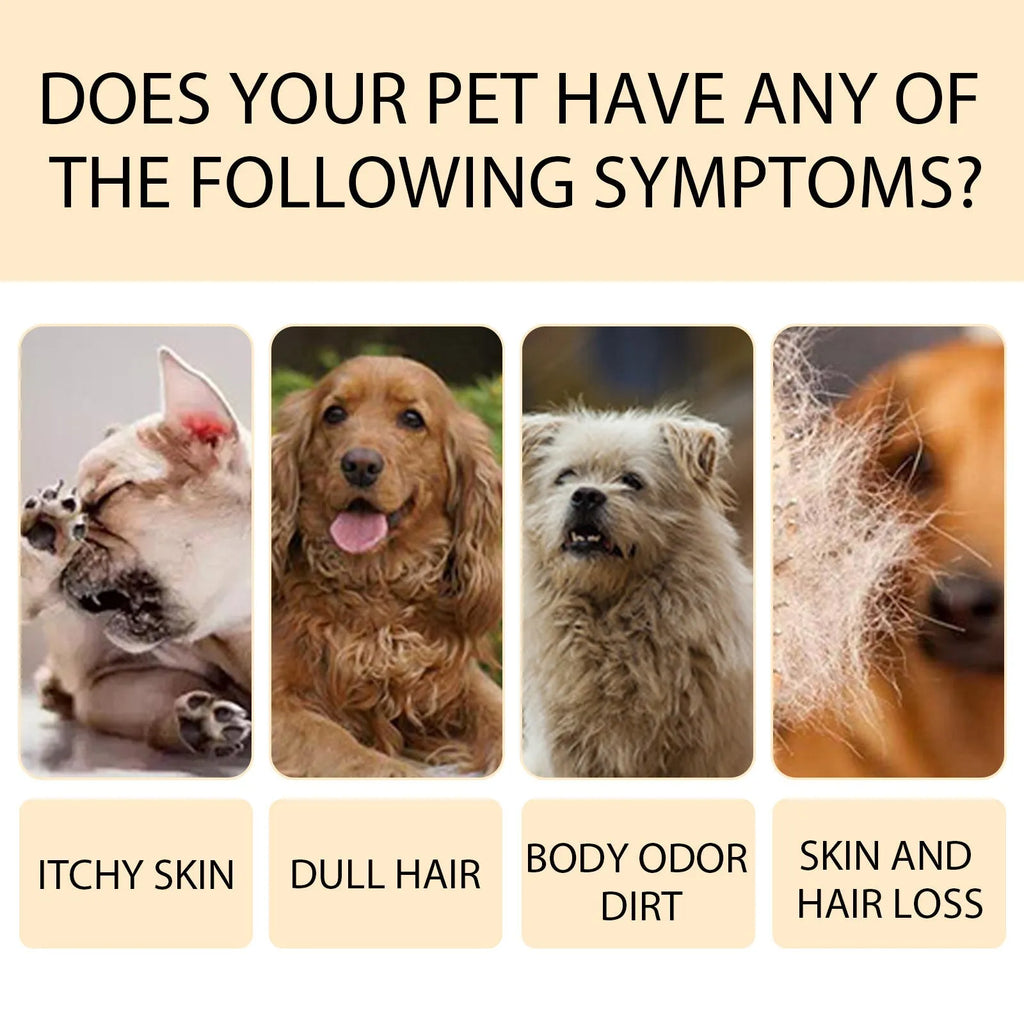 Bottle of mild pet shampoo for dogs to soften fur and reduce tangles