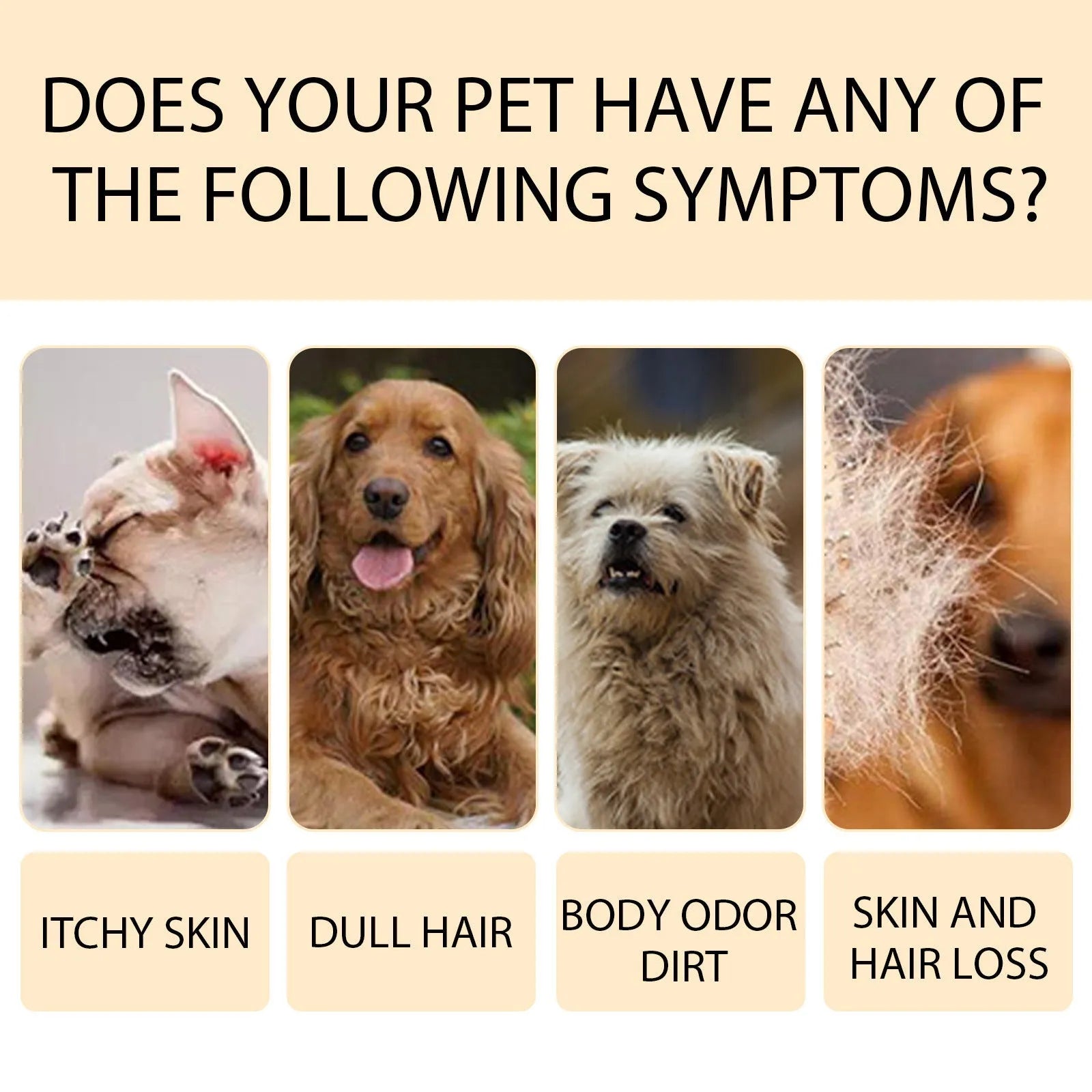 Bottle of mild pet shampoo for dogs to soften fur and reduce tangles
