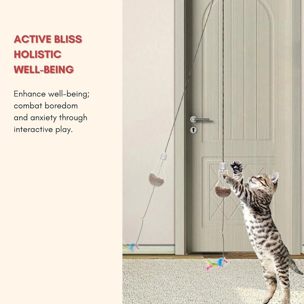 Interactive cat toy hanging from door frame with dangling mouse toy and elastic rope extending downward