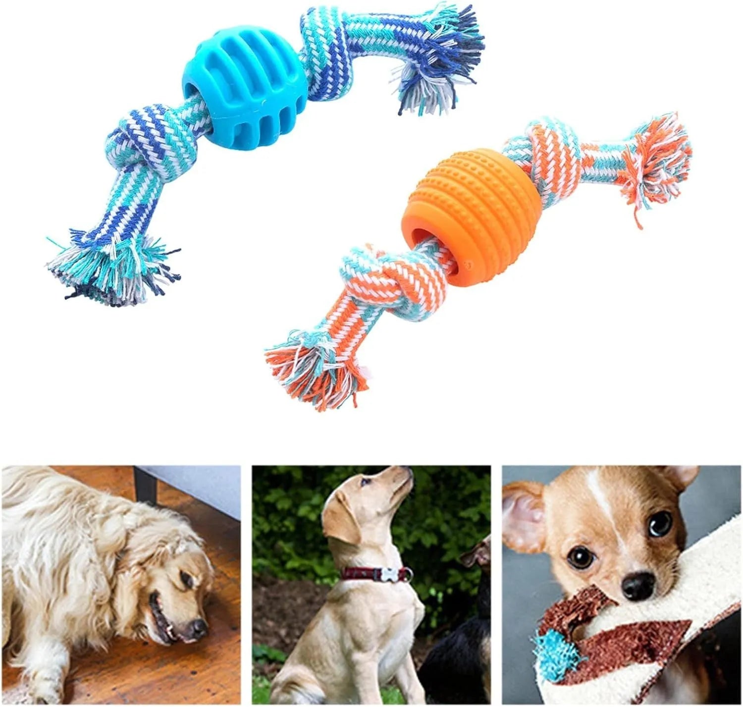 Blue molar-shaped dog chew toy with rope elements for teeth cleaning and oral health