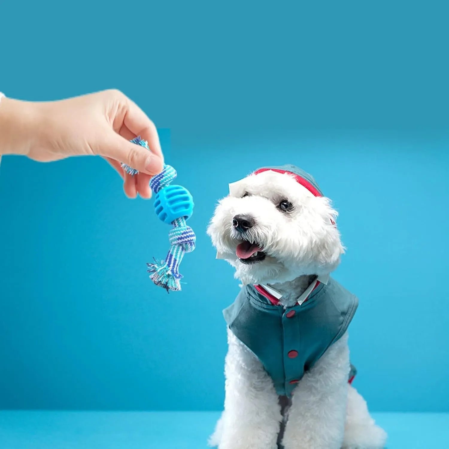 Blue molar-shaped dog chew toy with rope elements for teeth cleaning and oral health