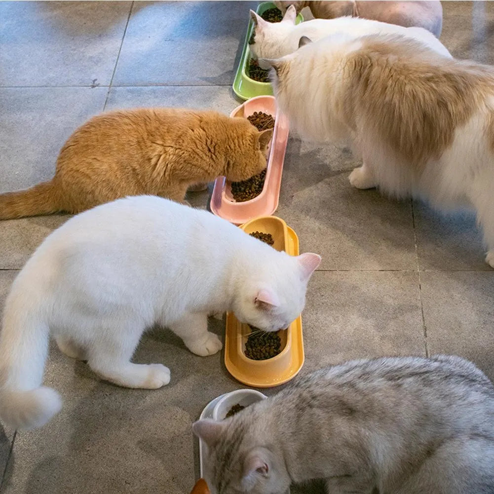 Green, pink and yellow leakproof pet food and water bowls for dogs and cats.
