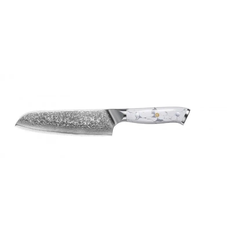 Damascus pattern VG10 steel combined chef knife with 21cm blade and 11cm handle