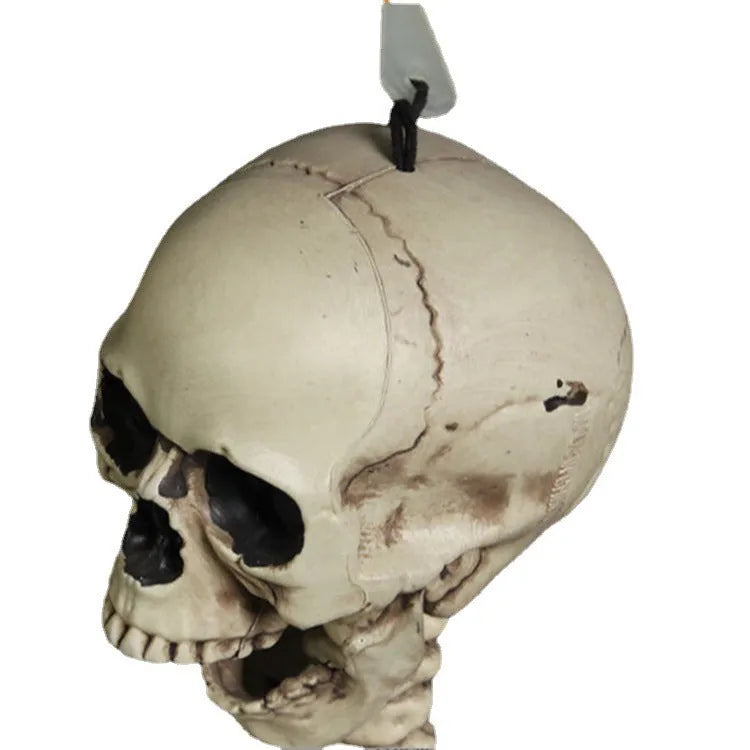 170cm tall plastic skeleton prop with realistic human proportions for Halloween decorations