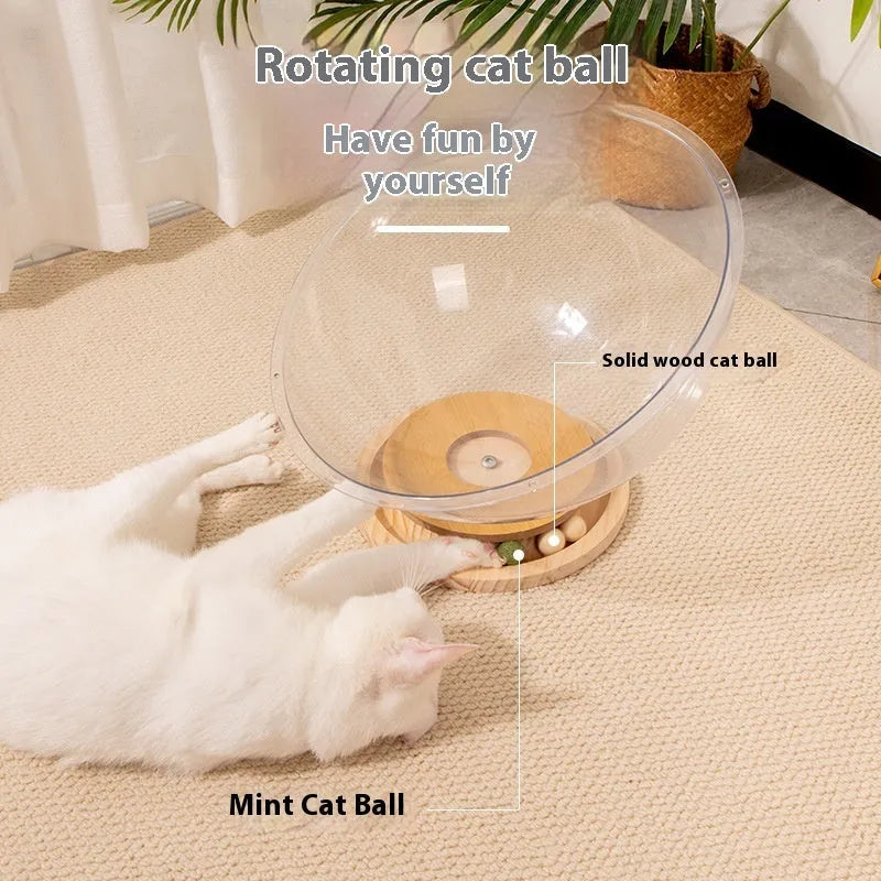 Transparent acrylic cat space capsule bed with bathtub design in multiple size options