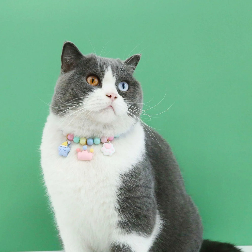 Colourful macaron-themed resin collar and bracelet set for pets on a pastel background.