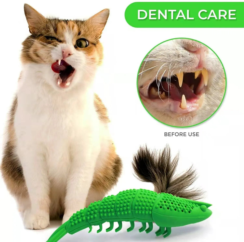 Blue hard rubber cat toy with textured bristles for teeth cleaning and interactive play