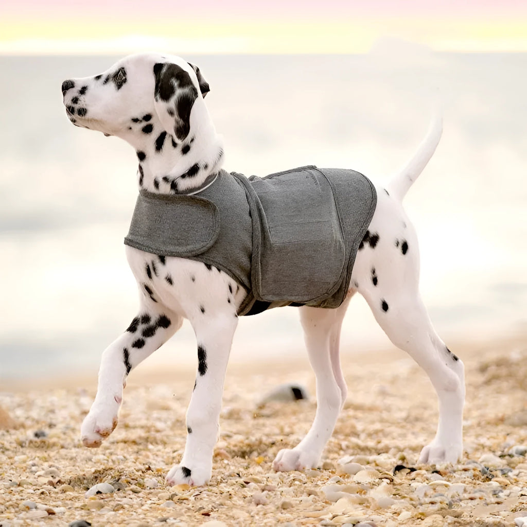Heather grey brocade cotton ponte-de-roma dog anxiety jacket warm vest shown on a dog