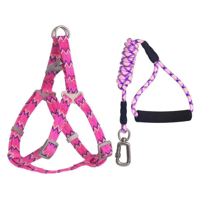 Pet climbing harness in blue nylon with foam handle and circular rope, laid flat