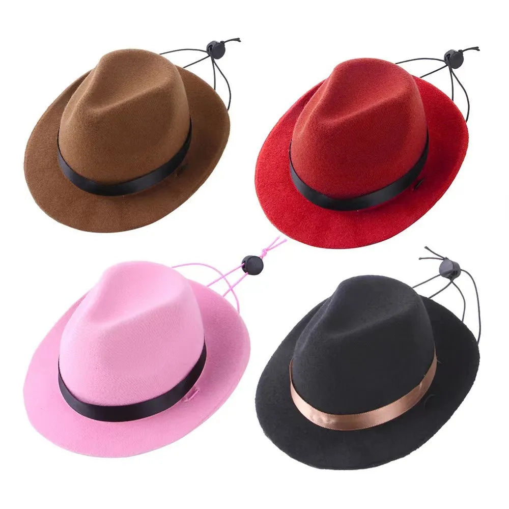 Wool felt mini pet sun hat in black, brown, pink, or red with 155cm diameter