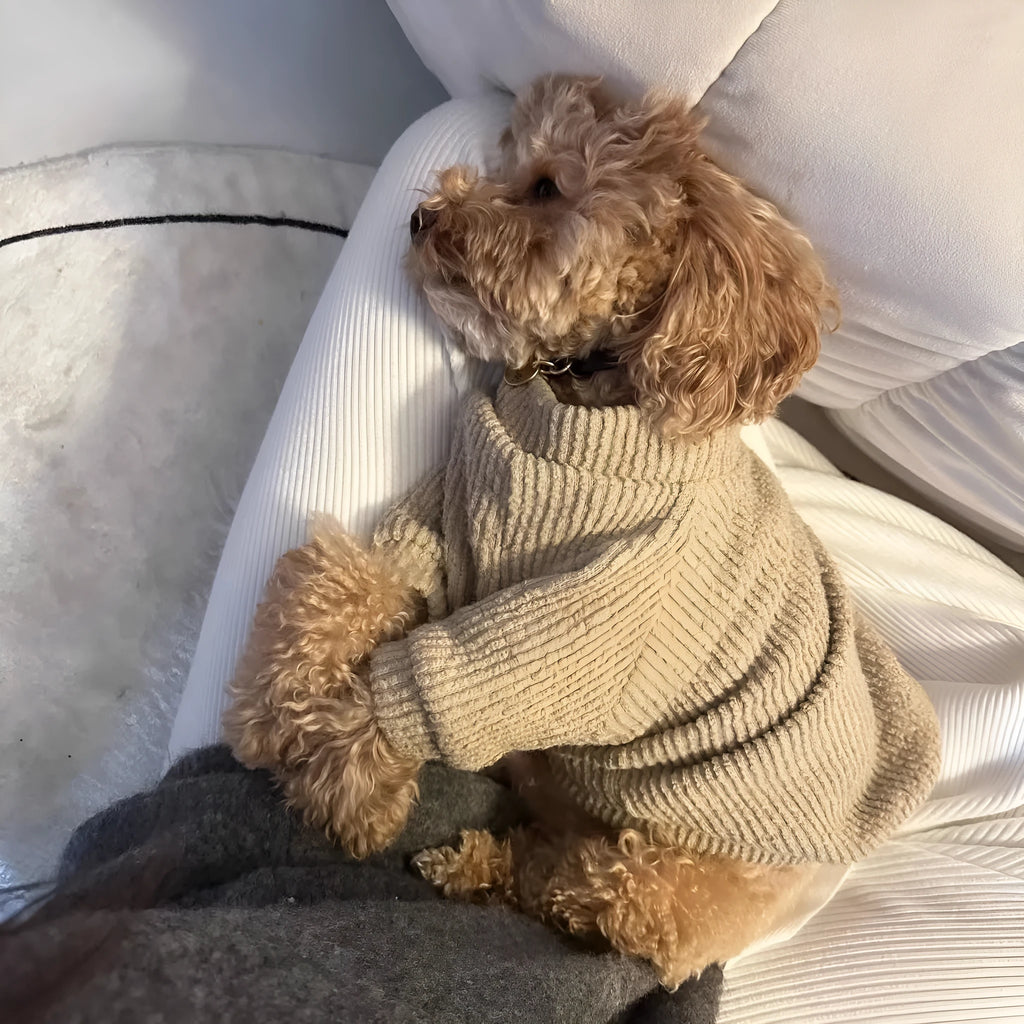 Brown cloth dog sweater pullover for small breeds including Bichon, Pomeranian sizes XS to XL