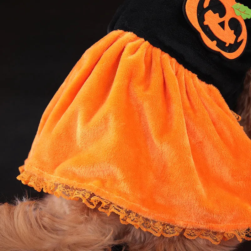 Halloween pet costume for dog or cat, shown as a pumpkin skirt and a sweater in crystal velvet fabric.