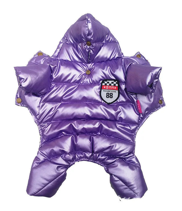 Pet down cotton jacket in grey on a dog, showing casual style and button fastenings