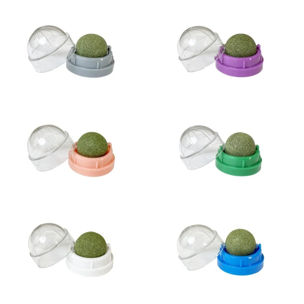 Plastic catnip ball toy in various colours for feline dental care and play